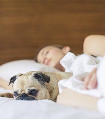 The 7 Habits of Highly Effective Sleepers (Plus, a Bonus Habit)