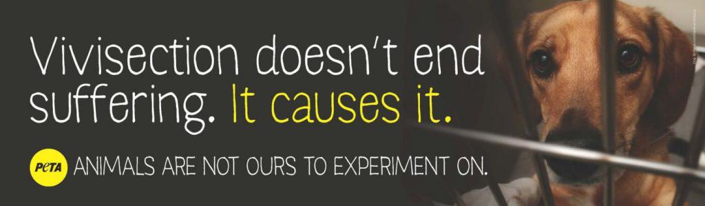 animal testing