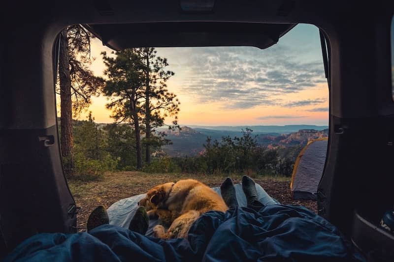 View from inside a van of human and dog enjoying the sunset